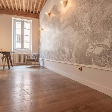Passage De L’evêché Appartement Annecy